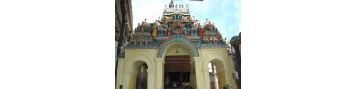 புன்னை நல்லூர் மாரியம்மன் - தமிழ்நாடு
